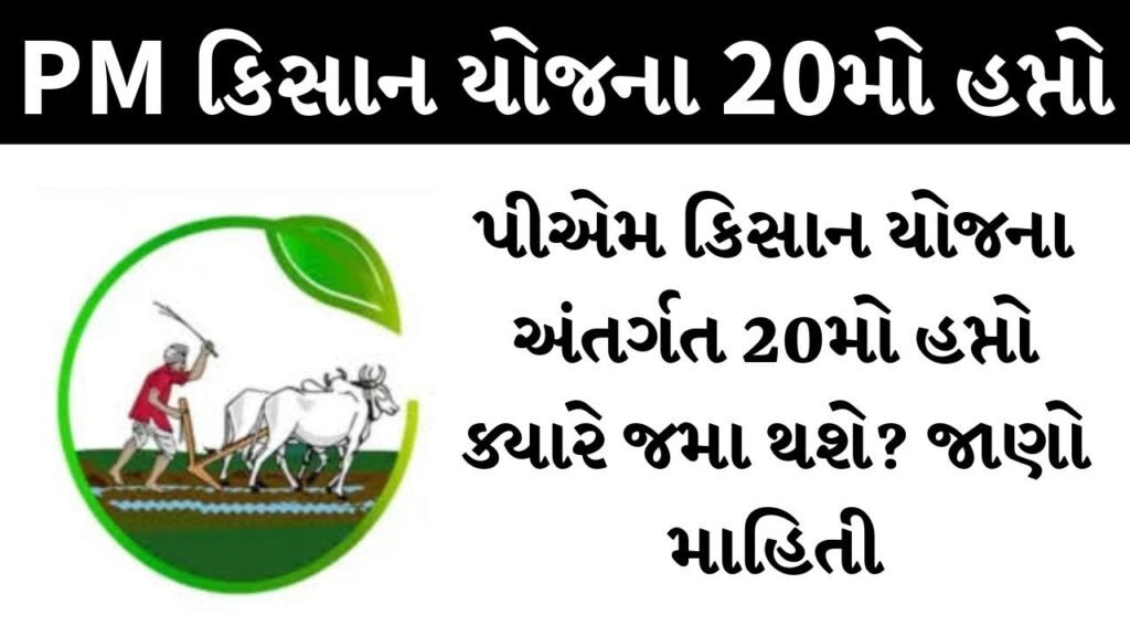PM Kisan 20th Installment:PM Kisan Yojana 20મો હપ્તો ક્યારે મળશે? તમારું નામ ચેક કરો લાભાર્થી યાદીમાં